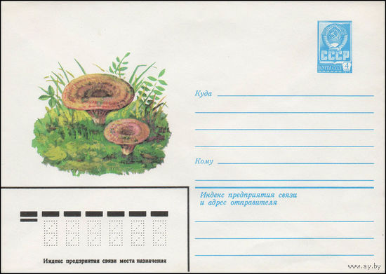 Художественный маркированный конверт СССР N 13464 (25.04.1979) Рыжик