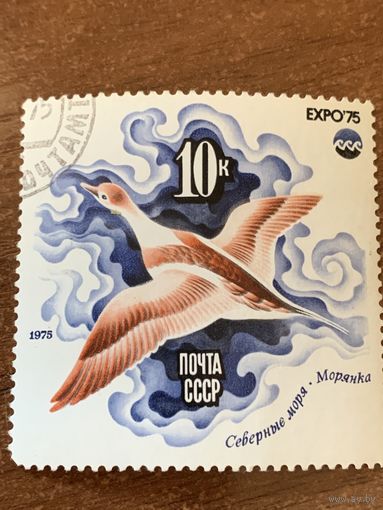 СССР 1975. Северные моря. Морянка. Марка из серии
