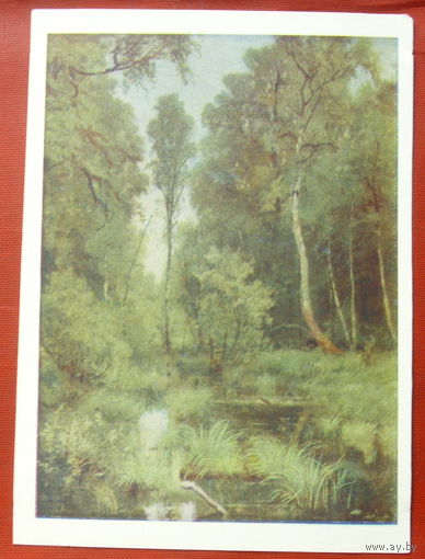 Шишкин. Заросший пруд у опушки леса. Чистая. 1959 года. 1194.