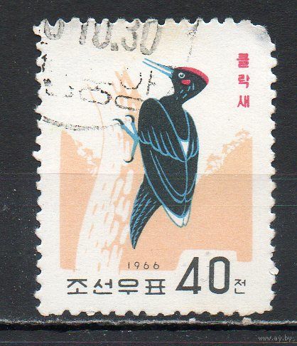 Птицы Дятел КНДР 1966 год 1 марка