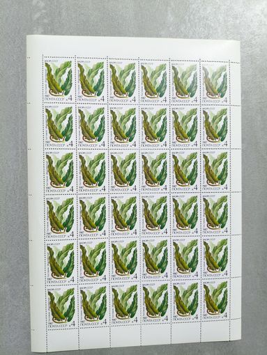 1987 СССР. Флора СССР - Папоротники. Листовик обыкновенный. Лист