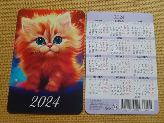 Карманный календарик. Котик. 2024 год