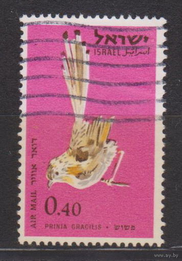 Птицы фауна Израиль 1963 год лот 15