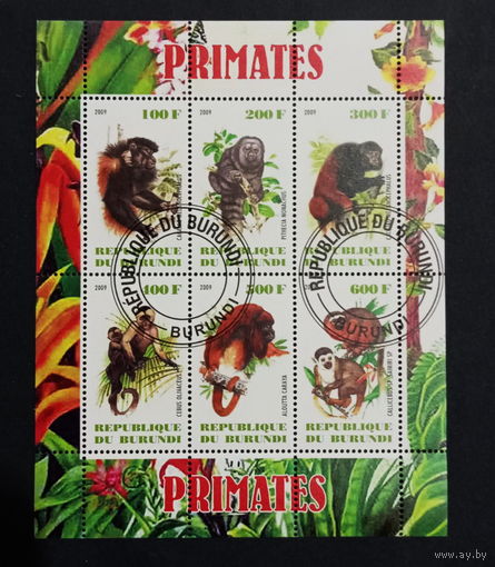 ЛИСТ ФАУНА животные  СТО