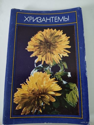 Набор из 15 открыток "Хризантемы" 1974