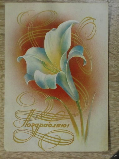 ПОДПИСАННАЯ ОТКРЫТКА СССР ПРОШЕДШАЯ ПОЧТУ. "ПОЗДРАВЛЯЮ". ЛИЛИЯ. худ. В. ВОРОНИН. 1984 год