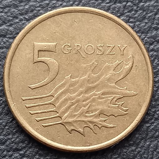 5 грошей 2008