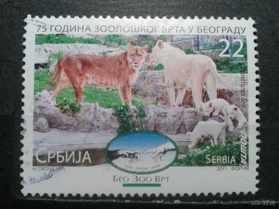 Сербия, 2011. 75 лет Белградскому зоопарку