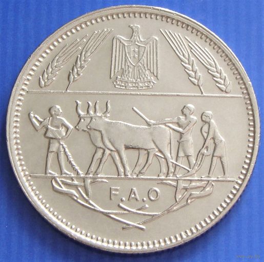 Египет. 10 пиастров 1970 год  "Ф.А.О"  KM#418  Тираж: 500.000