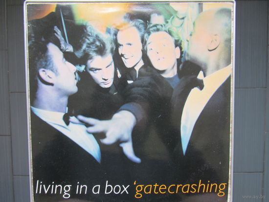 LIVING IN A BOX - Gatecrashing 89 Chrysalis Scandinavia NM/NM