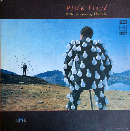 Pink Floyd (2LP) – Delicate Sound Of Thunder