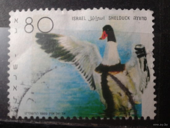 Израиль 1989, Утка. Михель 2 евро гаш.