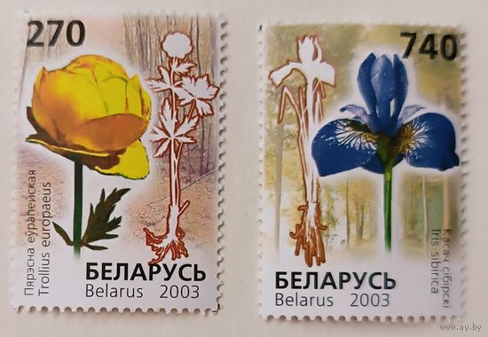 Редкие виды растений, занесённых в Красную книгу Беларуси. Полная серия, 2003.