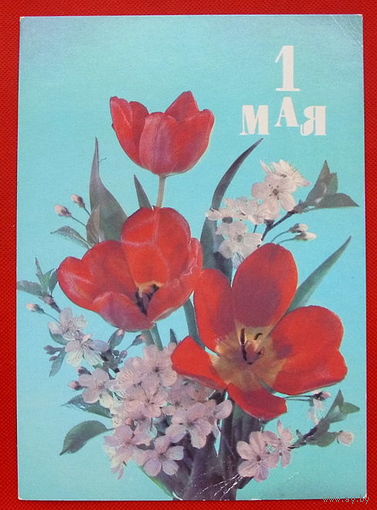 1 мая. Подписанная. 1989 года. Дергилёва.