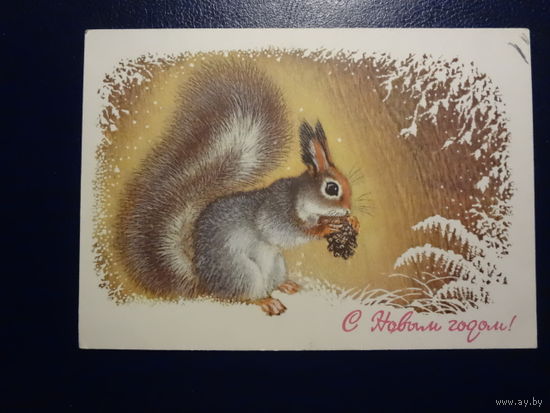 С Новым годом!  1977 г.  Белочка, шишка.  чистая.