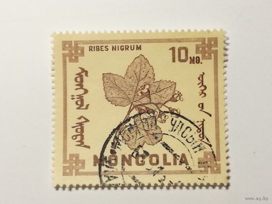Монголия 1968. Ягоды Монголии
