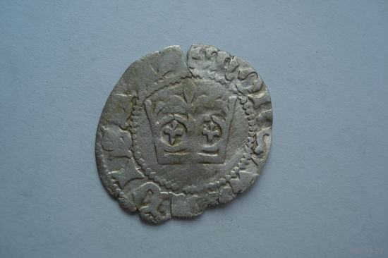 Полугрош Jagiello