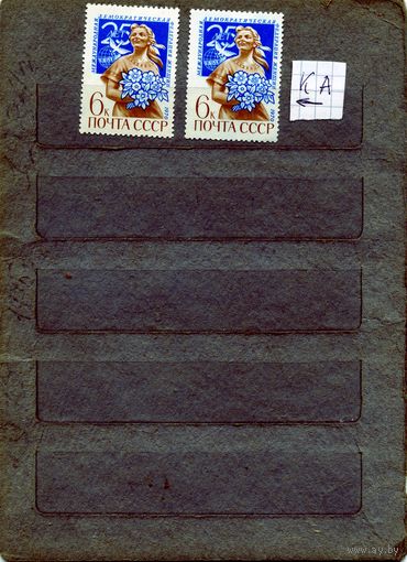 СССР, 1970, 25 лет МЕЖД ФЕДЕР ЖЕНЩН ,   серия   Заг 3848   1м  + разнвидность 3848Ка чистая