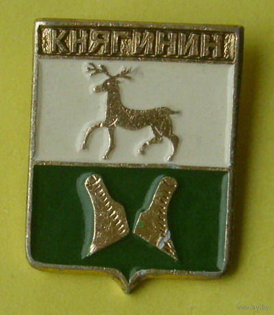 Княгинин. Р-19.