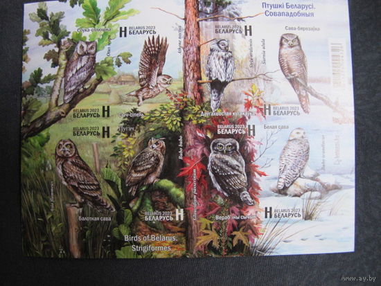 Марки РБ 1546А-1553А. МЛ Птицы Беларуси. Совообразные. Беззубцовый