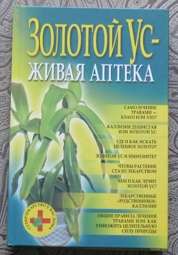 Золотой ус - живая аптека.