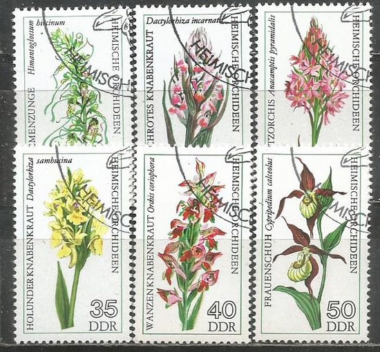ГДР. Цветы. Орхидеи. 1976г. Mi#2135-40. Серия с СГ.