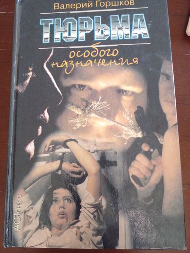 Валерий Горшков Тюрьма особого назначения