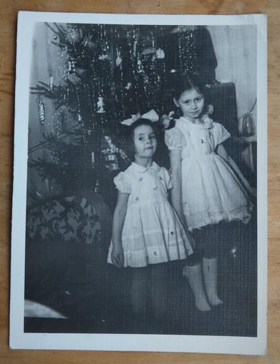 Девочки у елки. Фото 1960-70-х. 9х12 см.