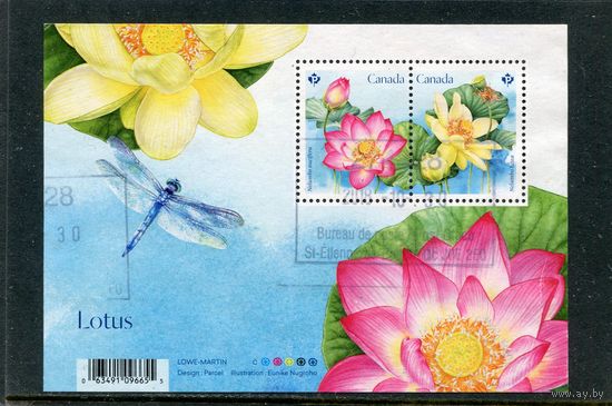 Канада. Флора. Цветы. Лотос