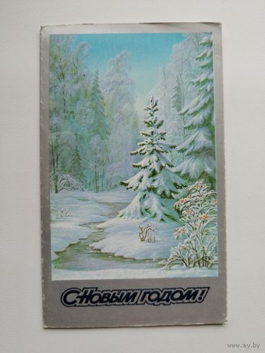 С Новым годом! Художник А. Бурлов. 1988 год. Двойная. Чистая