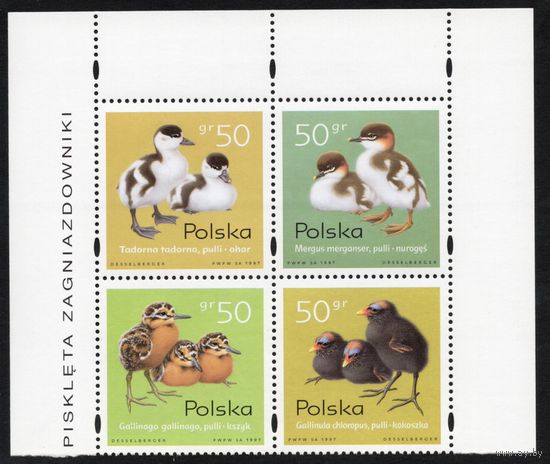 Польша 1997. Фауна. Утки. Сцепка 4 марки. Mi 3686-9