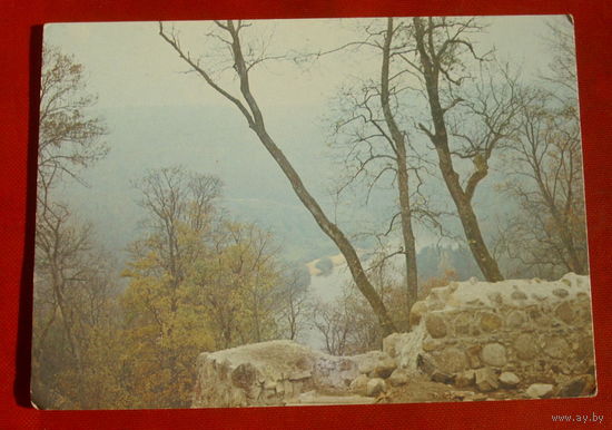 Горный пейзаж. Чистая. 1985 года. Фото Голенького. 1091.