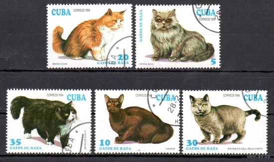 Кошки Куба 1994 год 5 марок