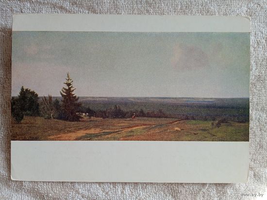 1954. Ширяев. Бор под Шангалами