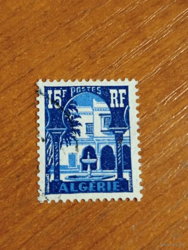 1954 французская колония Алжир архитектура флора (4-6)