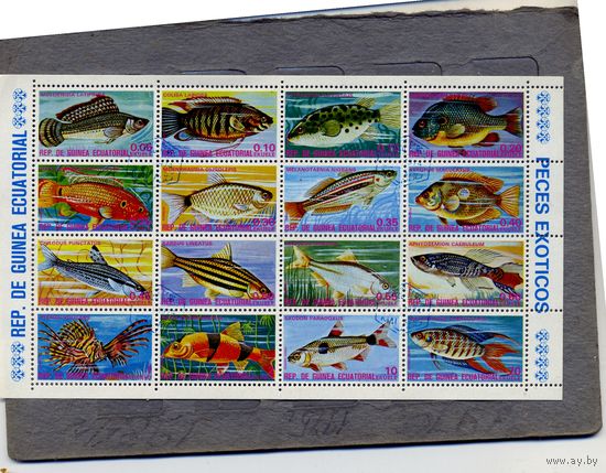 ЭКВАТОРИАЛЬНАЯ ГВИНЕЯ, 1974,  РЫБЫ,  МЛ ,  16м гаш