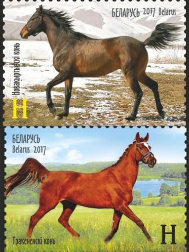 Лошади. Полная серия, 2017