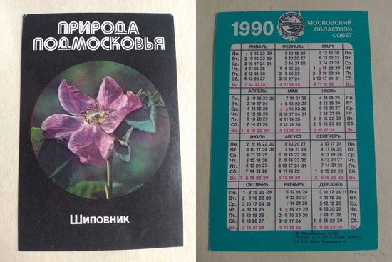 Карманный календарик. Природа Подмосковье. Шиповник. 1990 год