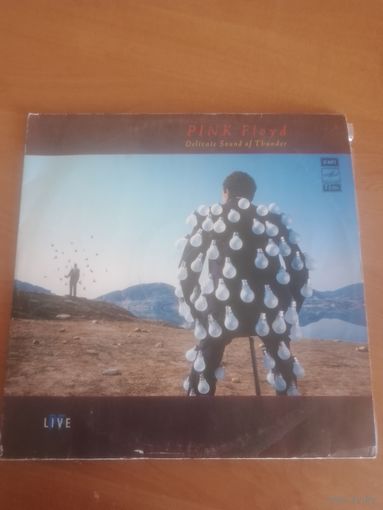 Pink Floyd - delicate sound of thunder. 2LP.
