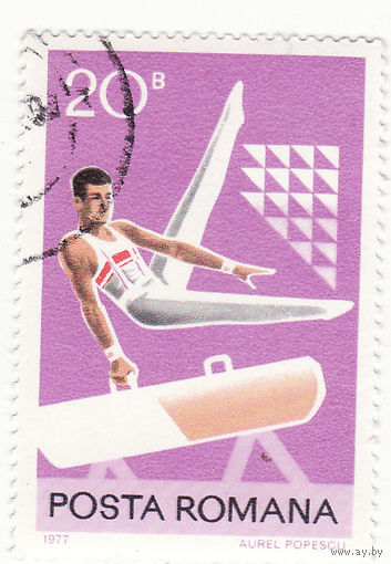 Гимнастика 1977 год