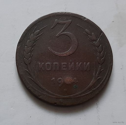 3 копейки 1924 г.
