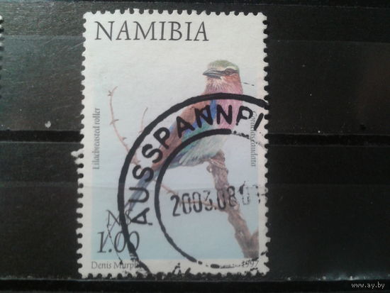 Намибия, 1997. Сиреневогрудая сизоворонка