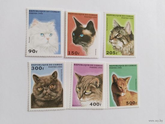 Конго 1996 6м  коты