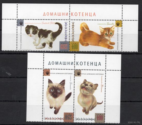 Болгария 2013 Фауна Котята 4 марки (5118)