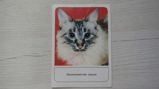 Открытка