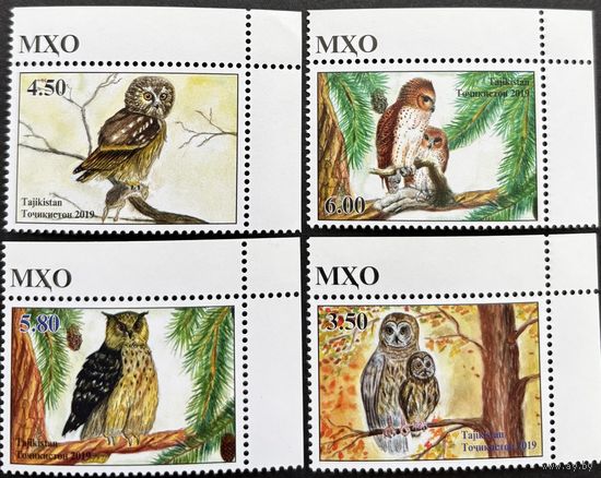 Таджикистан 2019  .Фауна. Птицы Совы