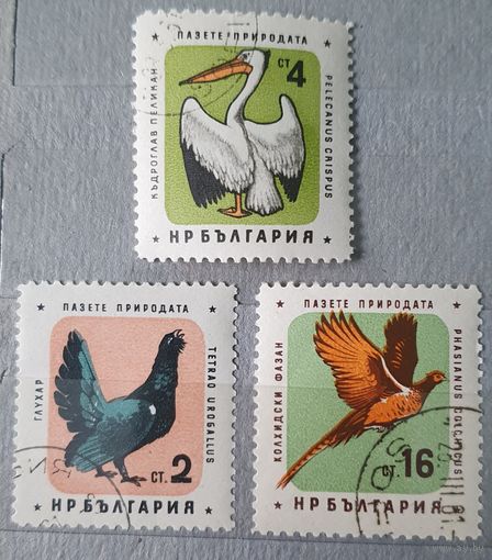 Болгария птицы 3шт