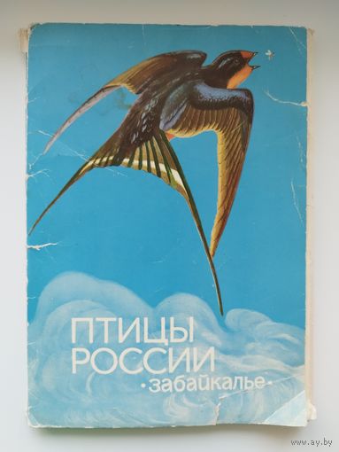 Птицы России. Забайкалье. 1983 год. 31 из 32 открыток