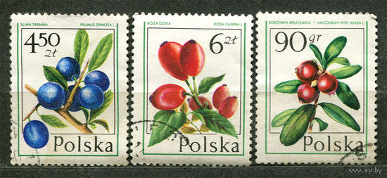 Ягоды. Польша. 1977. Серия 3 марки