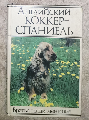 Английский Кокер-Спаниель